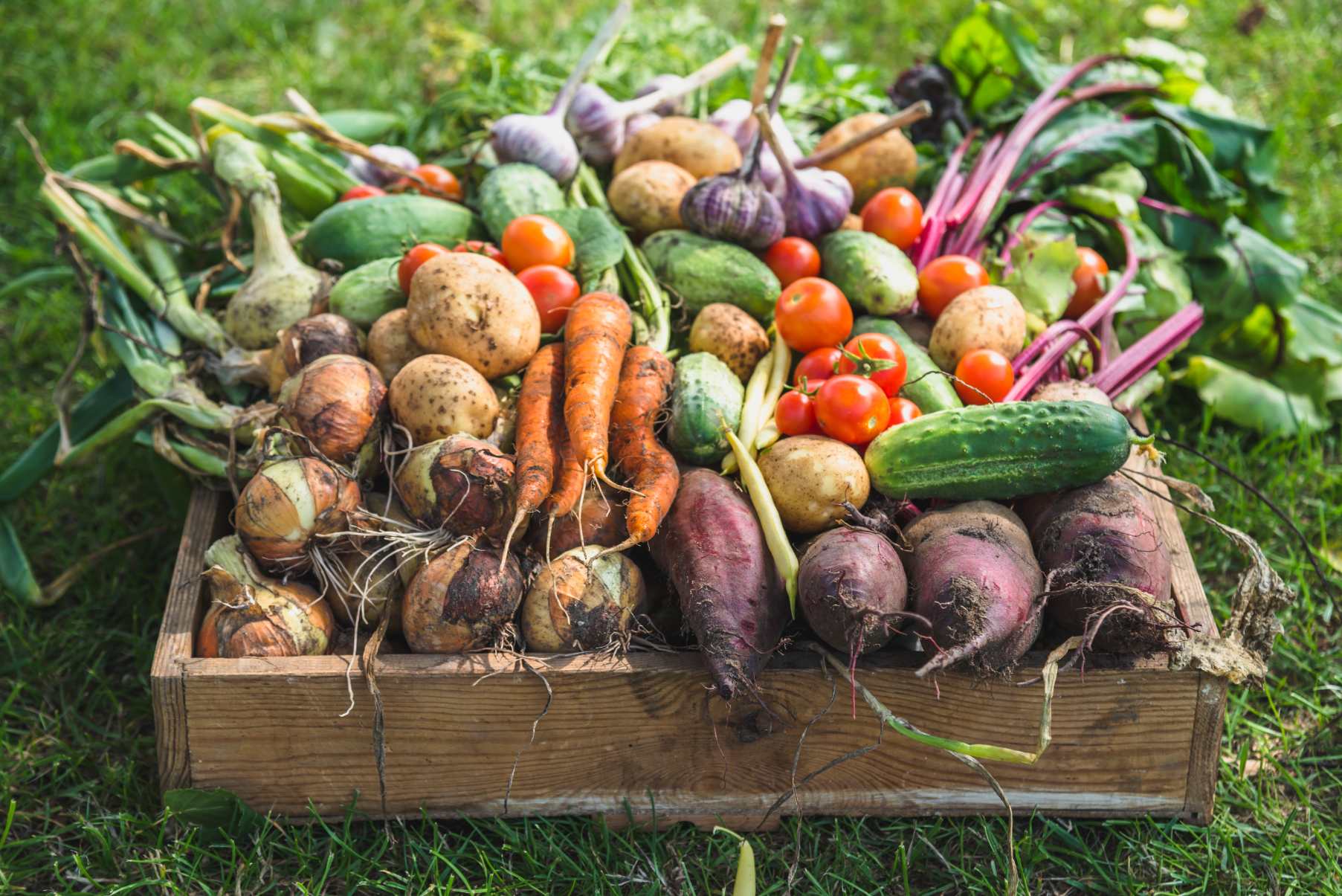 A wooden box filled with lots of vegetables.