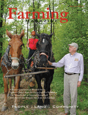 A man standing next to two horses in the woods.