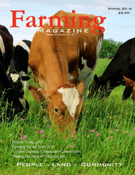 A group of cows grazing in the grass.