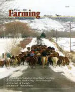 A group of people on horses in the snow.