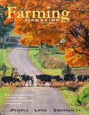 A group of cows walking down the road.