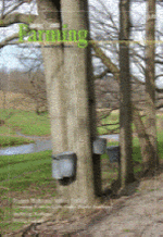 A tree with two buckets on it's side.