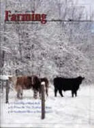 A group of cows standing in the snow.