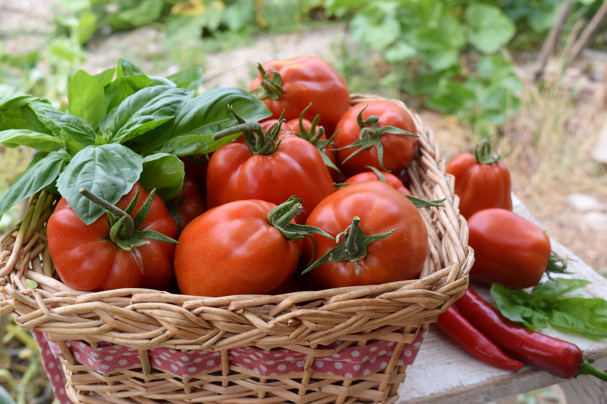 A basket of tomatoes on the ground with some other vegetables