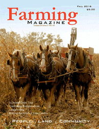 A group of horses pulling a plow in the field.