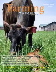 A cow and dog in the grass with barns.