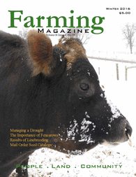 A cow standing in the snow with a magazine cover.