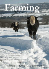 Two cows walking through the snow in a field.