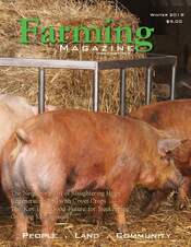 A group of pigs in a pen with hay.