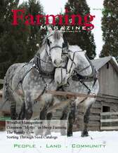 Two horses are pulling a carriage in the snow.