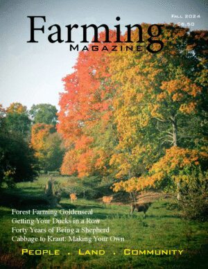 Fall 2024